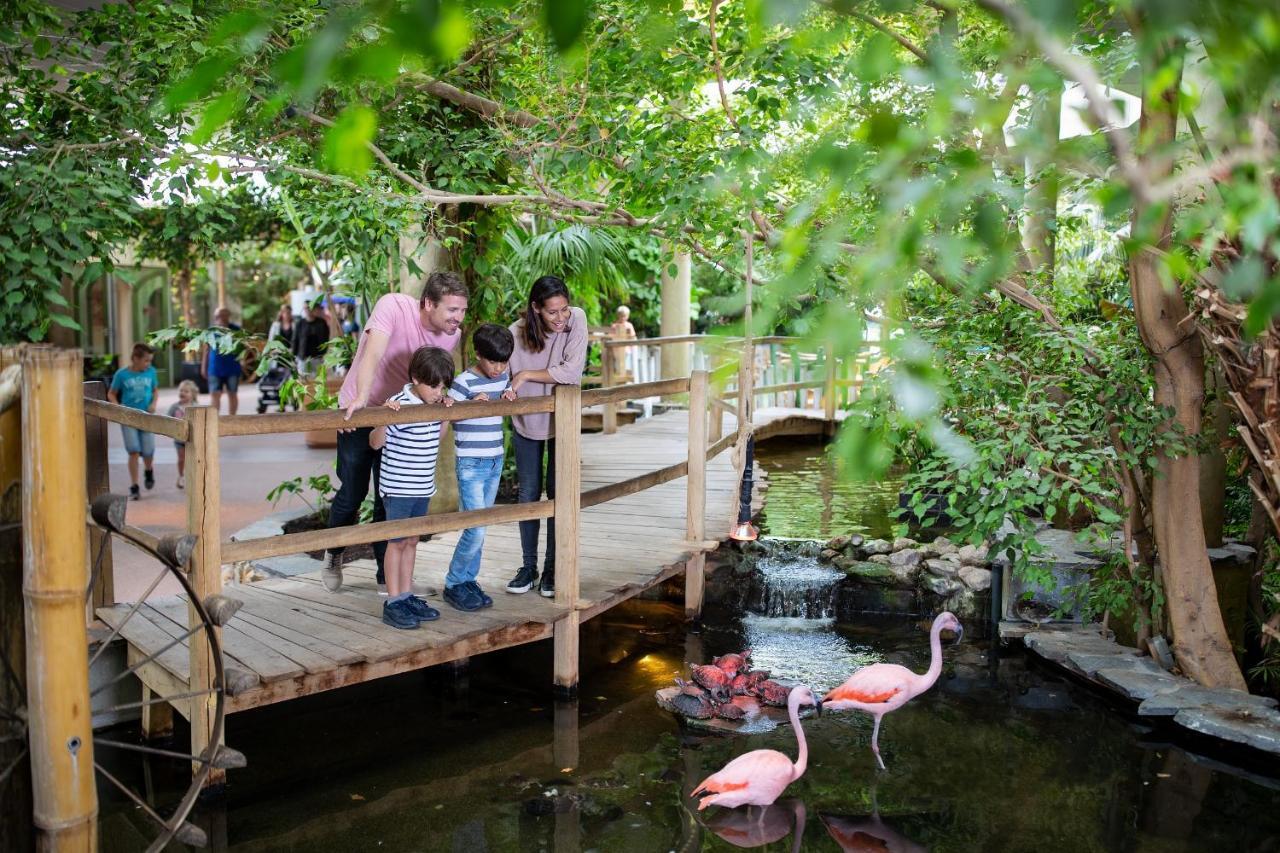Center Parcs Port Zelande Beach Ouddorp Eksteriør billede